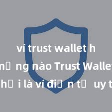 ví trust wallet hỗ trợ mạng nào Trust Wallet có phải là ví điện tử uy tín tại Việt Nam không?